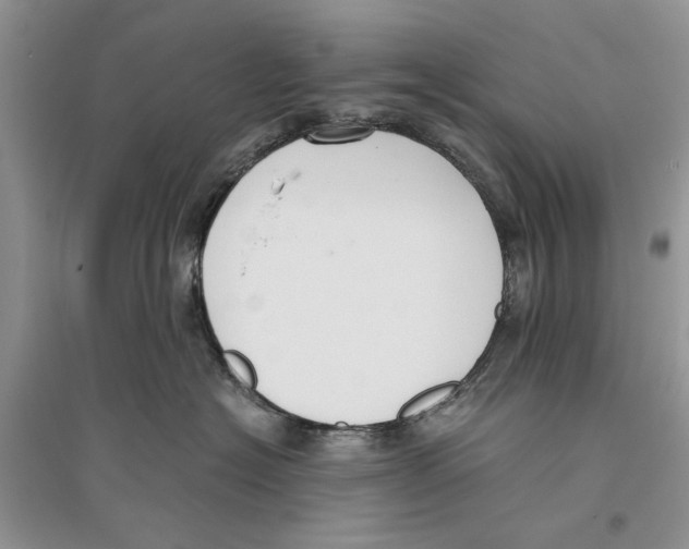 X0000096200574200802151528