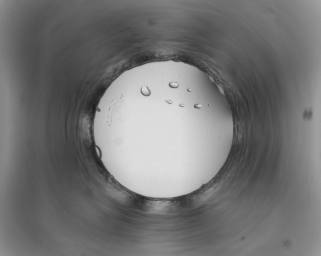 X0000096200575200802151528