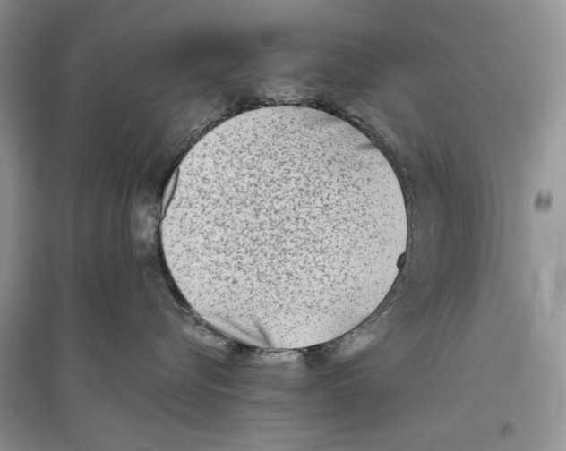 X0000096200576200802151528