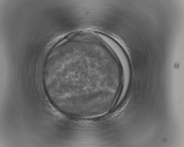 X0000096200577200802151528