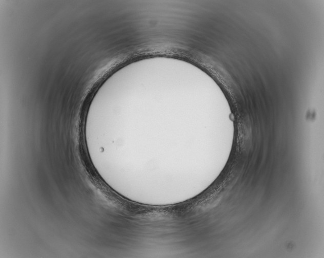 X0000096200578200802151528