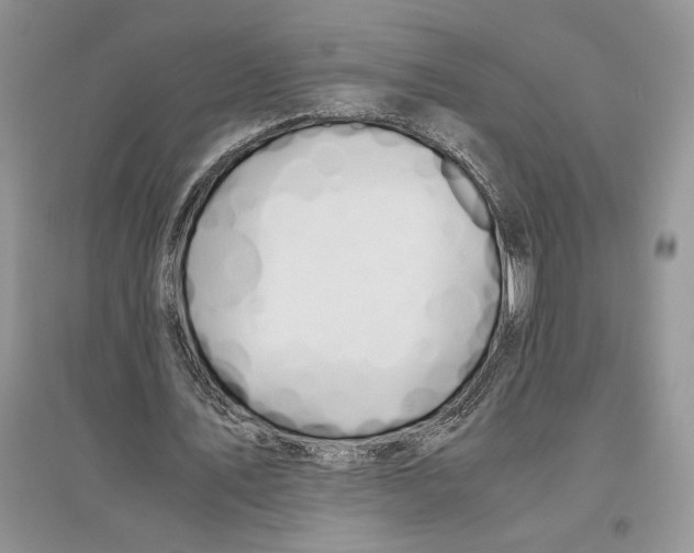 X0000096200579200802151527