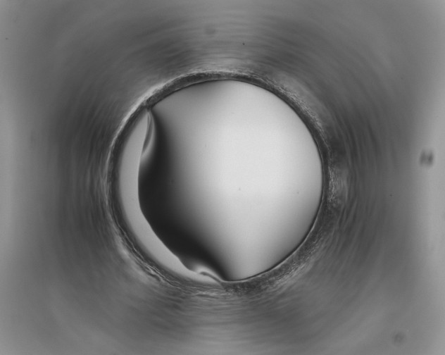 X0000096200580200802151527