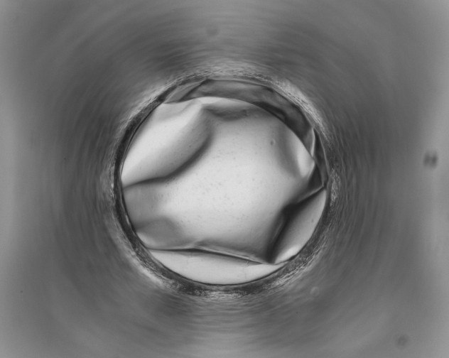 X0000096200581200802151527