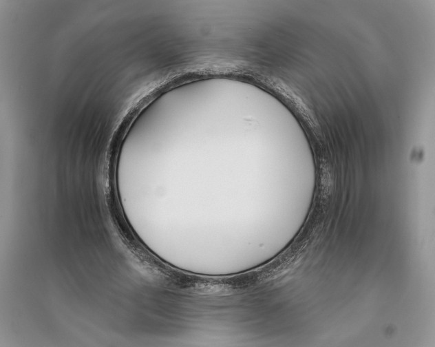 X0000096200582200802151527