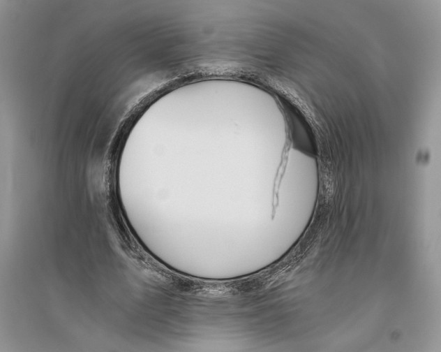 X0000096200583200802151527