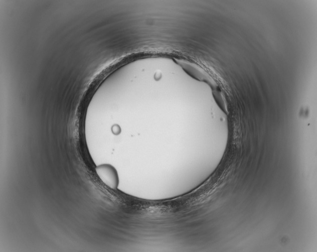 X0000096200584200802151527