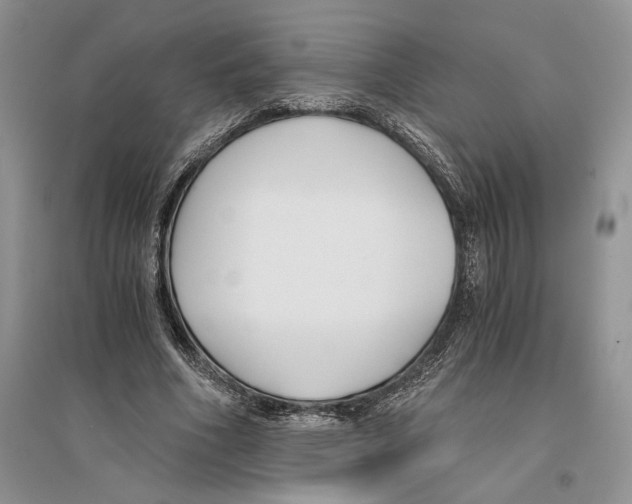 X0000096200586200802151527