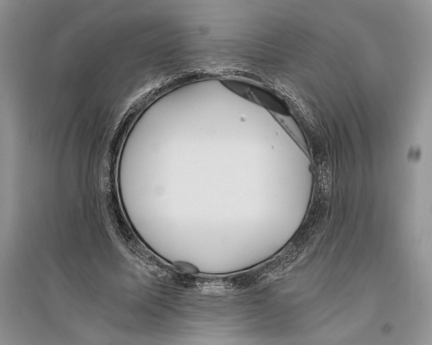 X0000096200587200802151527