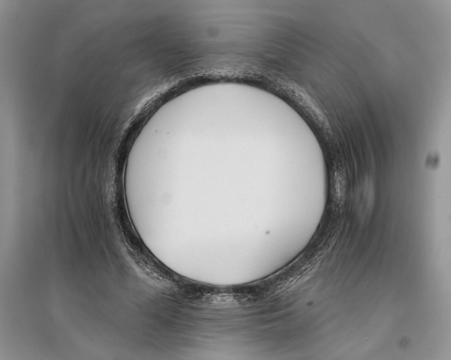 X0000096200588200802151527