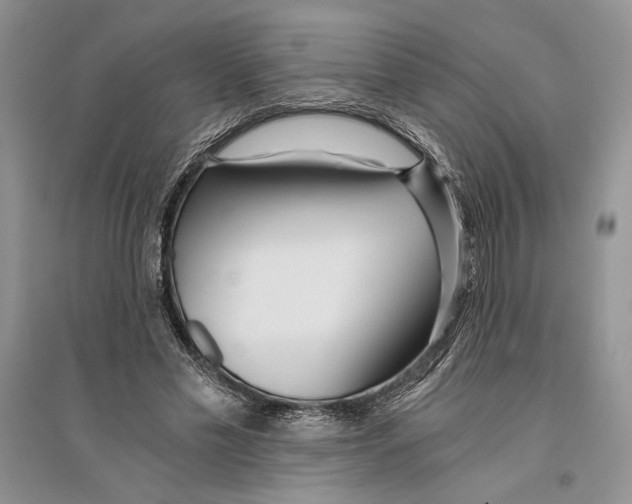 X0000096200589200802151527