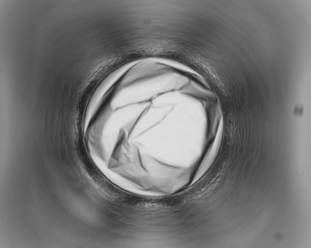 X0000096200590200802151527