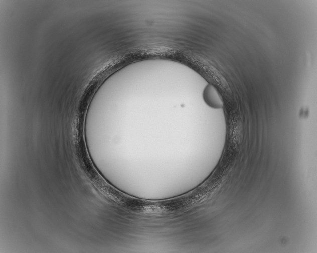 X0000096200591200802151527