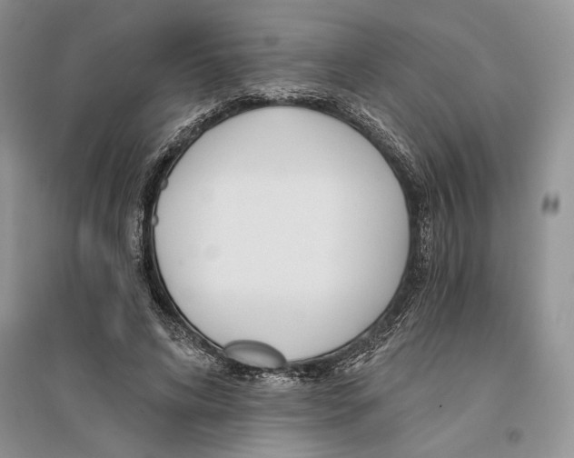 X0000096200592200802151527