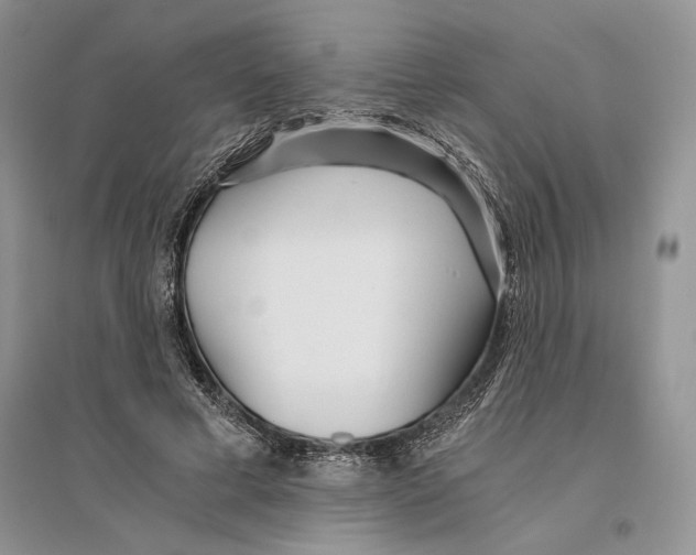 X0000096200593200802151527