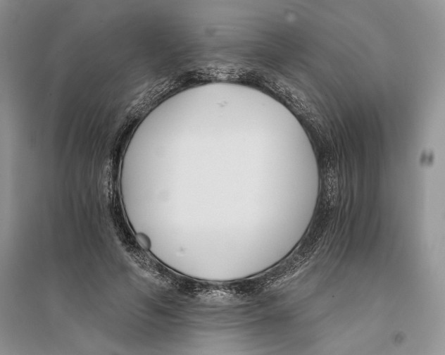 X0000096200594200802151527