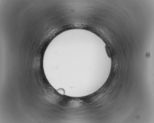 X0000096200595200802151527