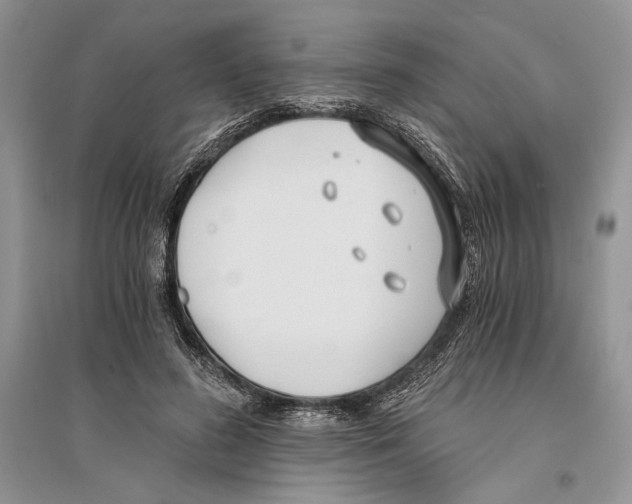 X0000096200596200802151527