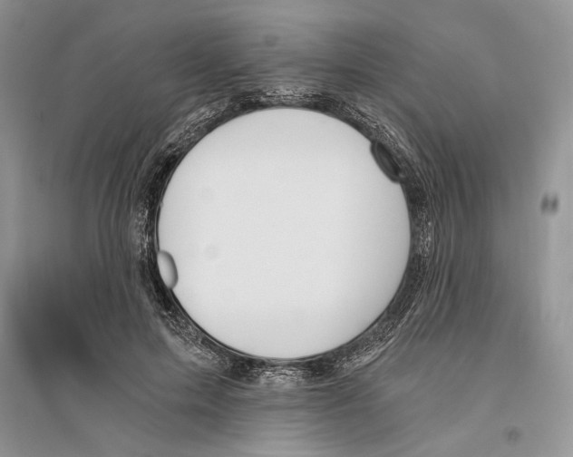 X0000096200599200802151527