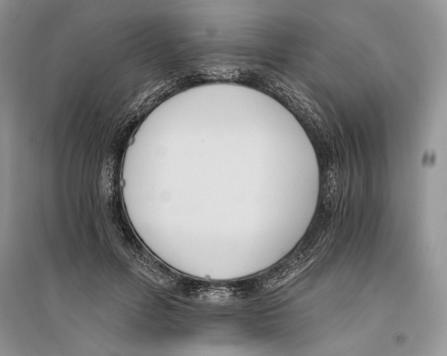 X0000096200600200802151527