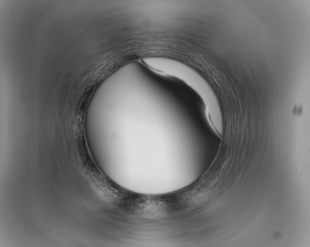 X0000096200601200802151527