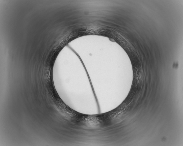 X0000096200603200802151527