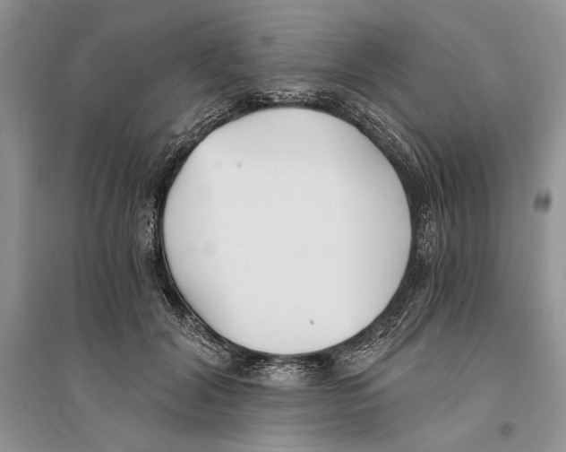 X0000096200604200802151527