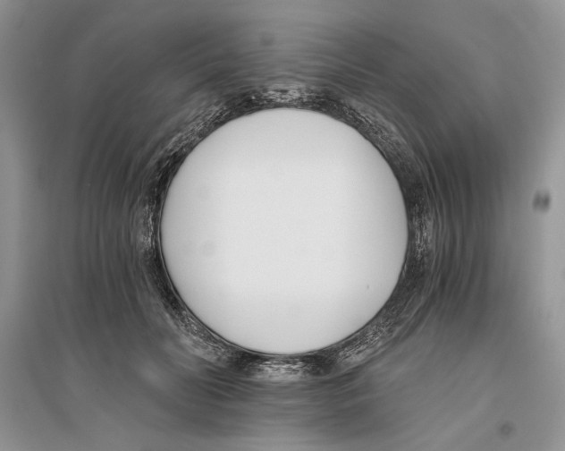 X0000096200606200802151527