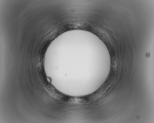 X0000096200607200802151527