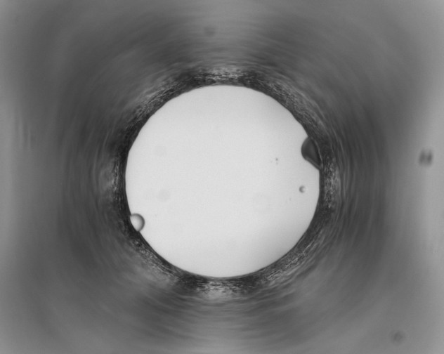 X0000096200608200802151527