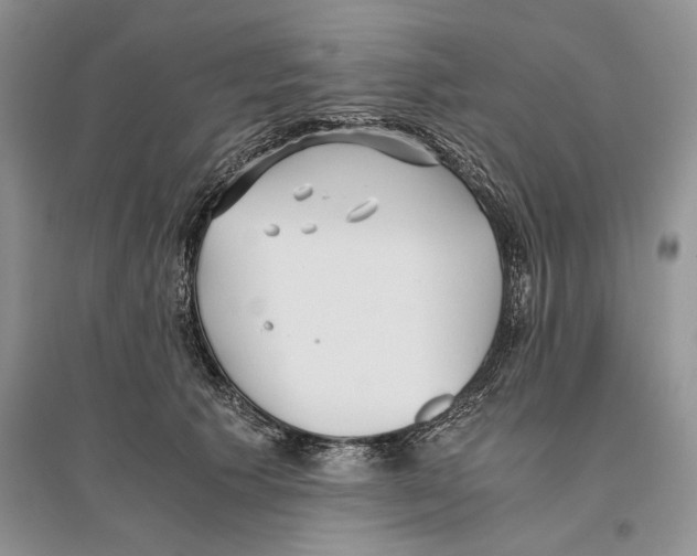 X0000096200609200802151527