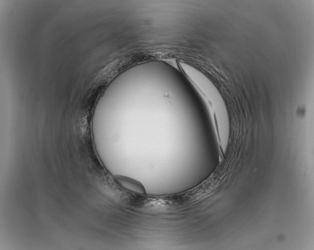 X0000096200611200802151527