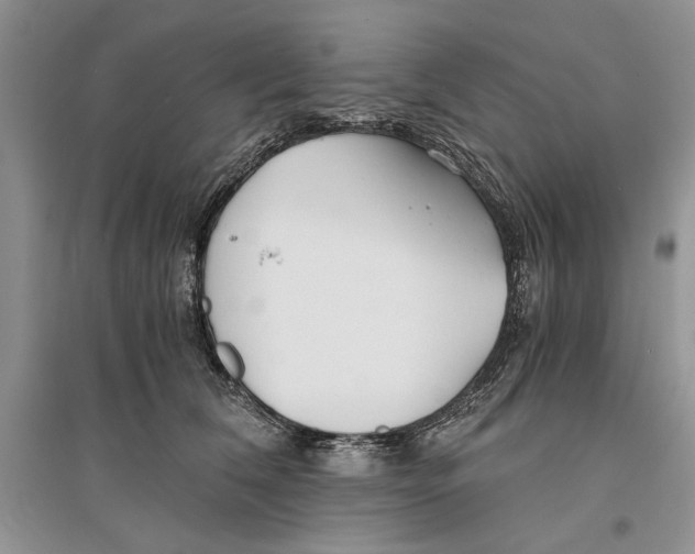 X0000096200612200802151527