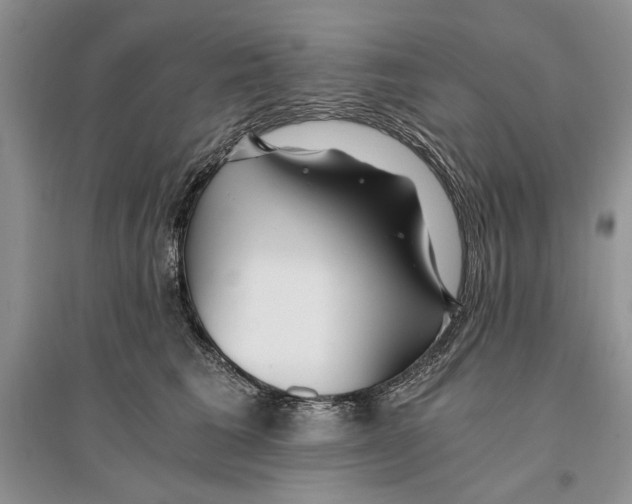 X0000096200613200802151527