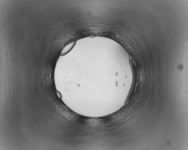 X0000096200615200802151527