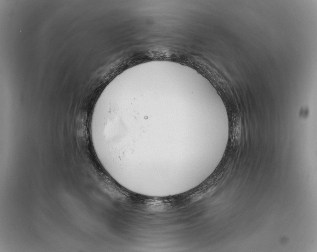 X0000096200616200802151527