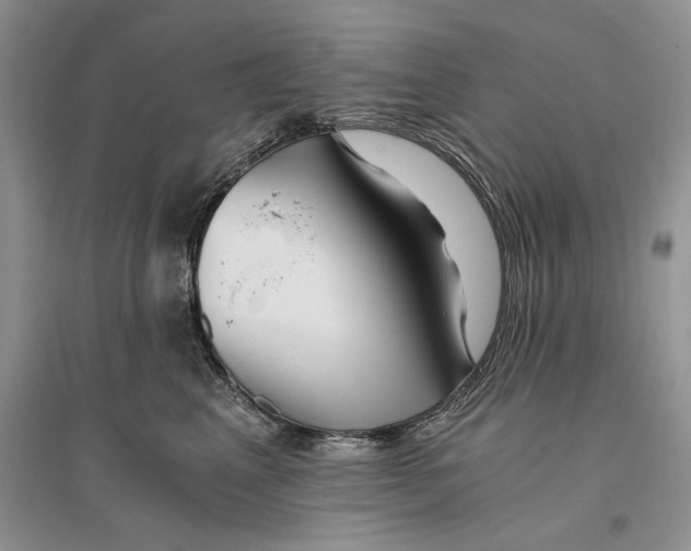 X0000096200617200802151527