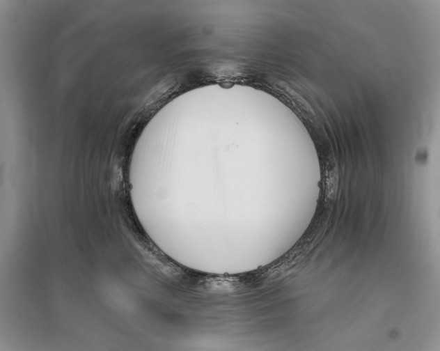 X0000096200618200802151527