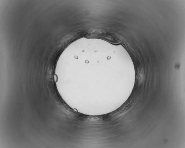 X0000096200619200802151527