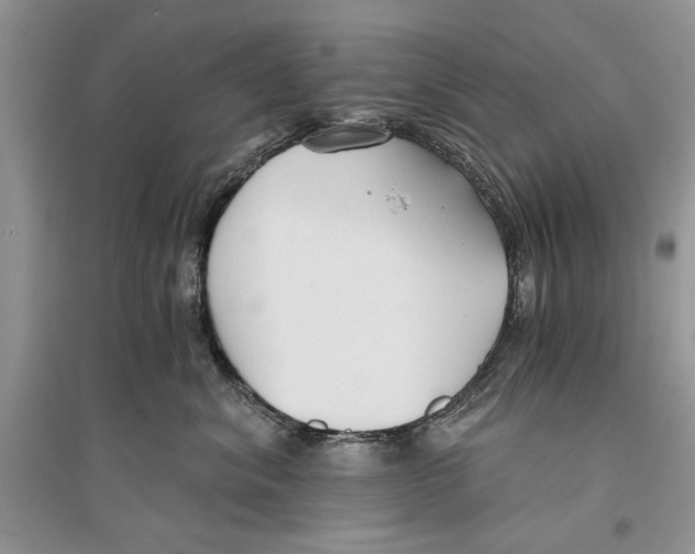 X0000096200620200802151527