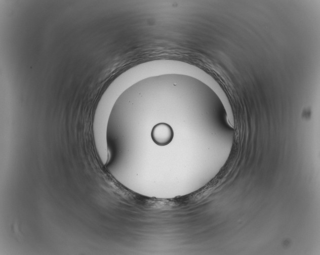 X0000096200621200802151527