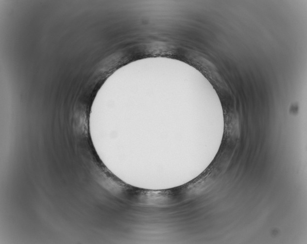 X0000096200622200802151527