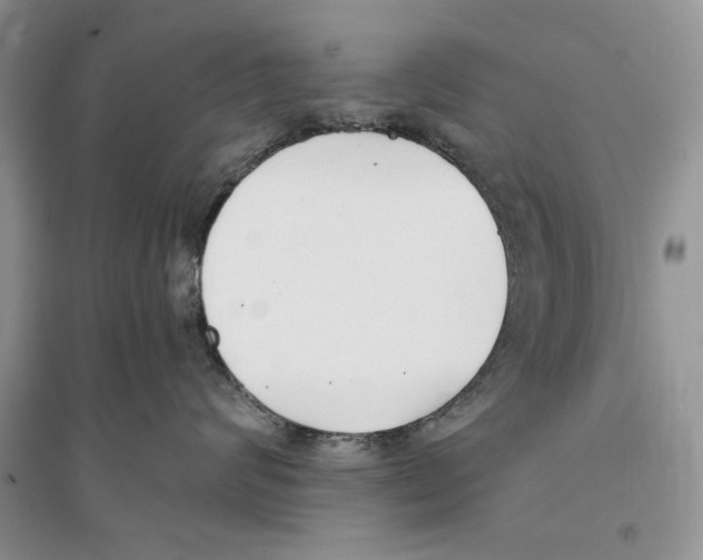 X0000096200624200802151527