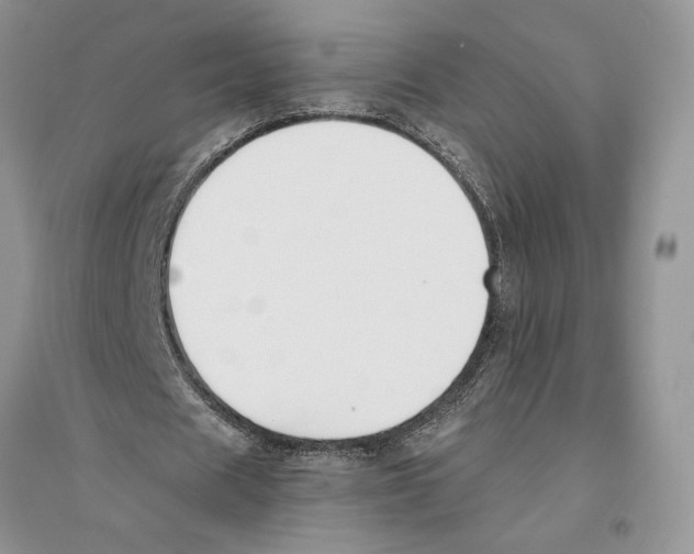 X0000096200625200802151526