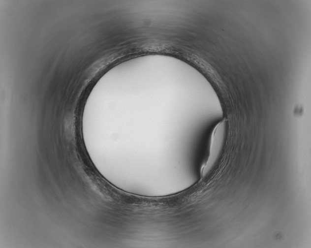 X0000096200626200802151526