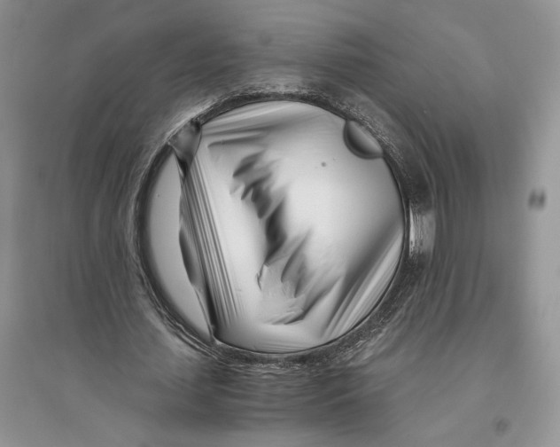 X0000096200627200802151526