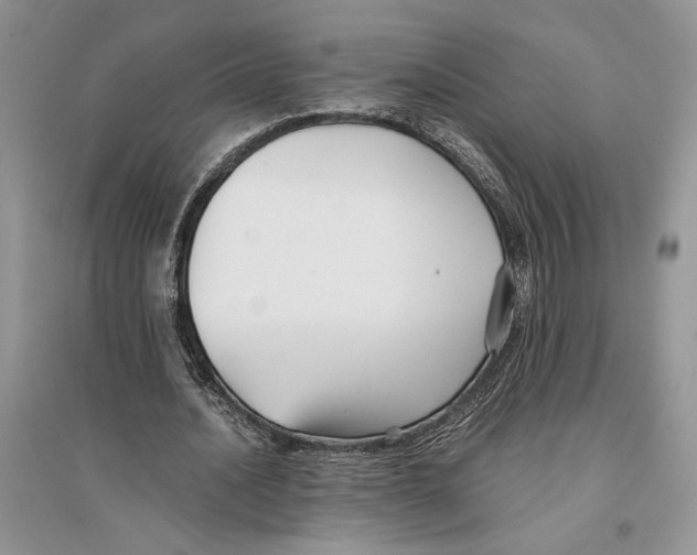 X0000096200628200802151526