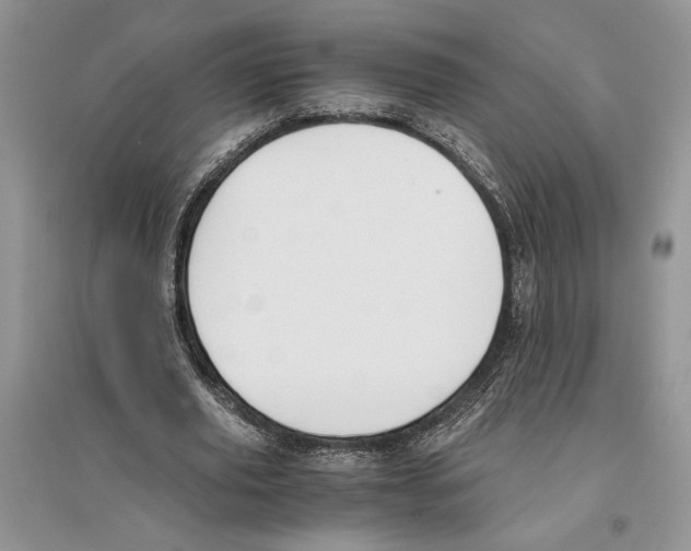 X0000096200629200802151526