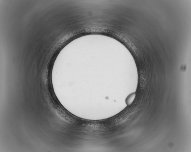 X0000096200631200802151526