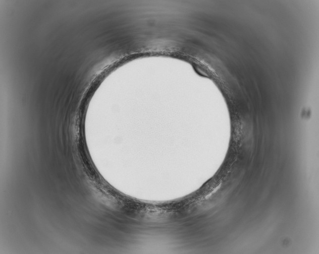 X0000096200632200802151526